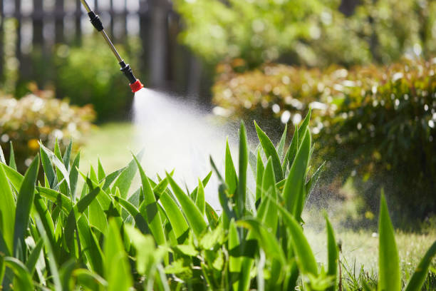 24/7 Emergency Mosquito Control experts in Austin, TX
