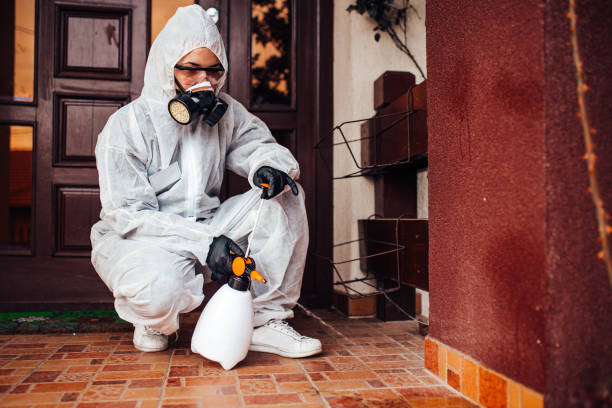 Reliable Mosquito Control contractor in Austin, TX by Show Me Pest Control